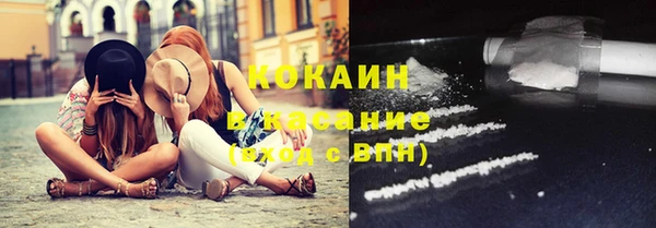 индика Аркадак