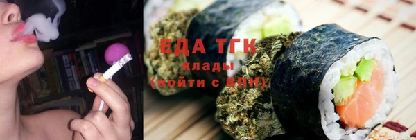 индика Аркадак