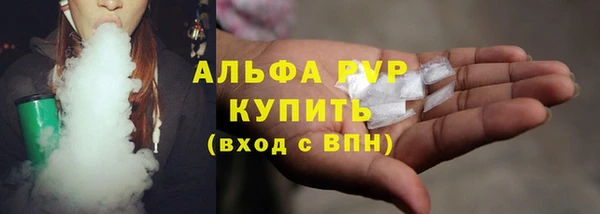 индика Аркадак
