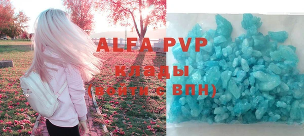 индика Аркадак