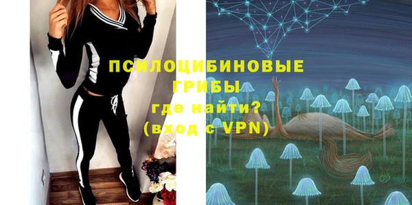индика Аркадак
