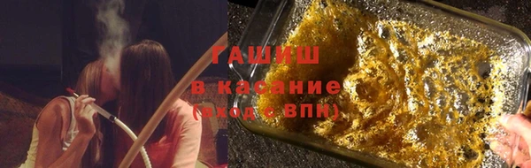 индика Аркадак