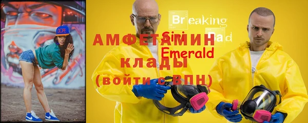 индика Аркадак