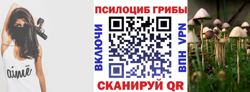 Псилоцибиновые грибы Psilocybe  что такое   Никольск 
