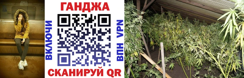 Бошки марихуана OG Kush  где можно купить наркотик  это телеграм  Никольск 